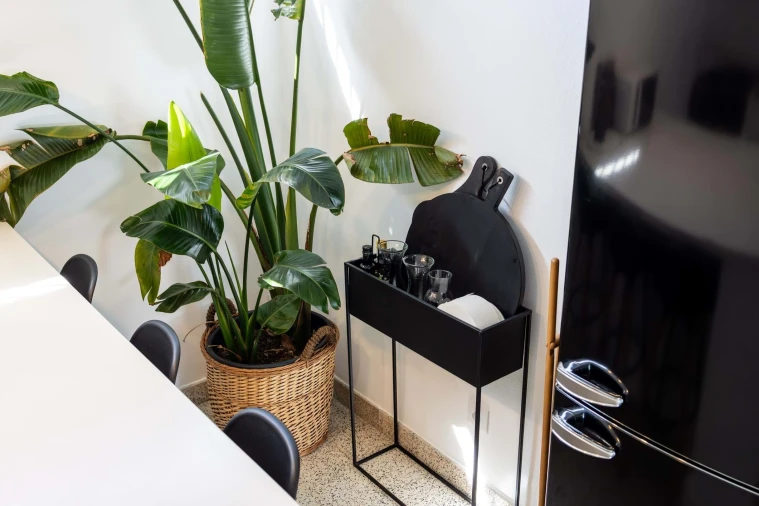 Moradia T3 para Venda em Coz, Alpedriz e Montes Foto 21