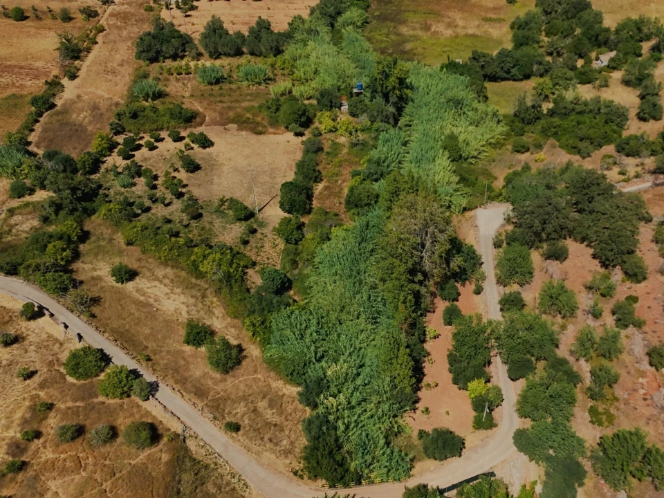 Terreno para Venda em Salir Foto 10