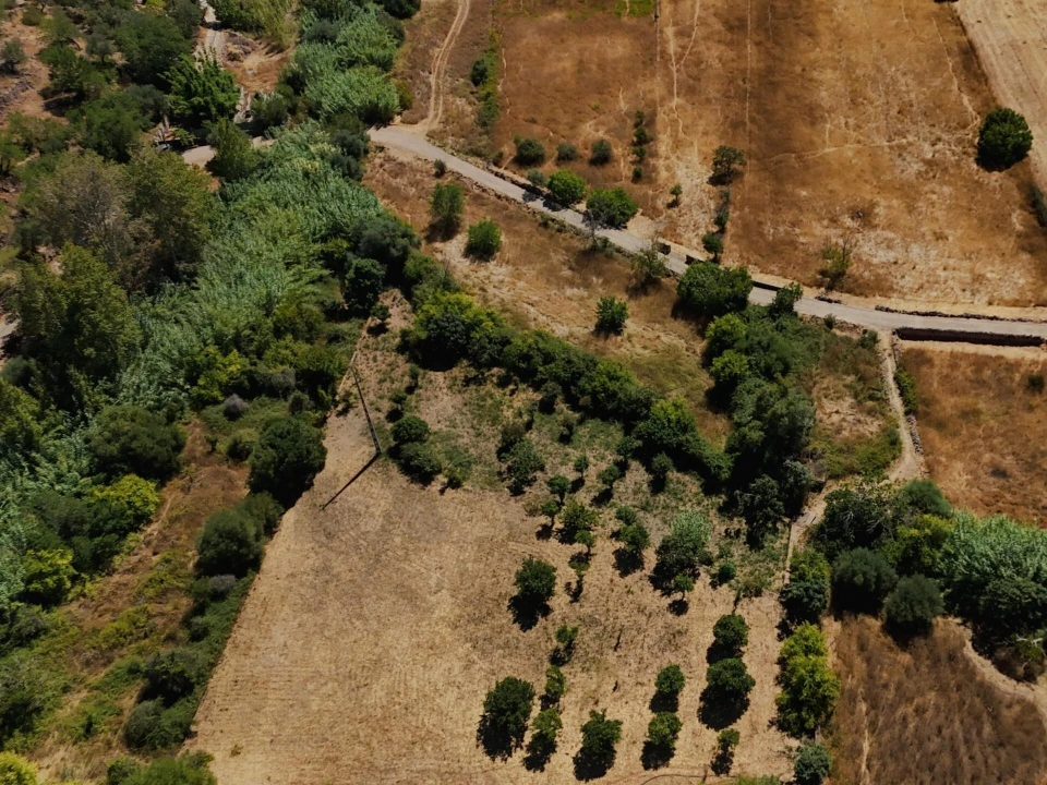 Terreno para Venda em Salir Foto 5