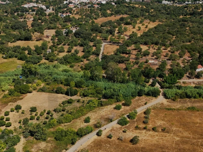 Terreno para Venda em Salir Foto 6