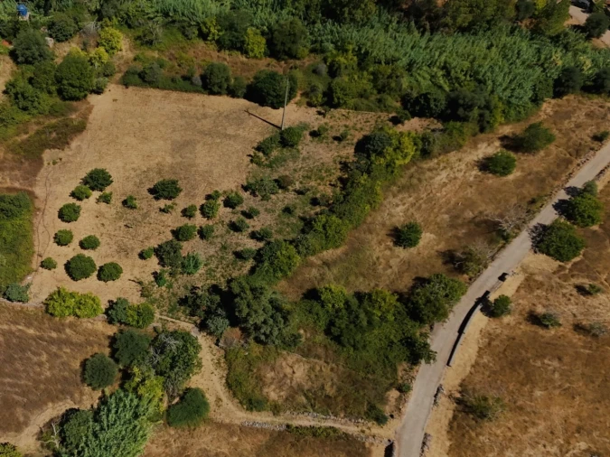 Terreno para Venda em Salir Foto 9