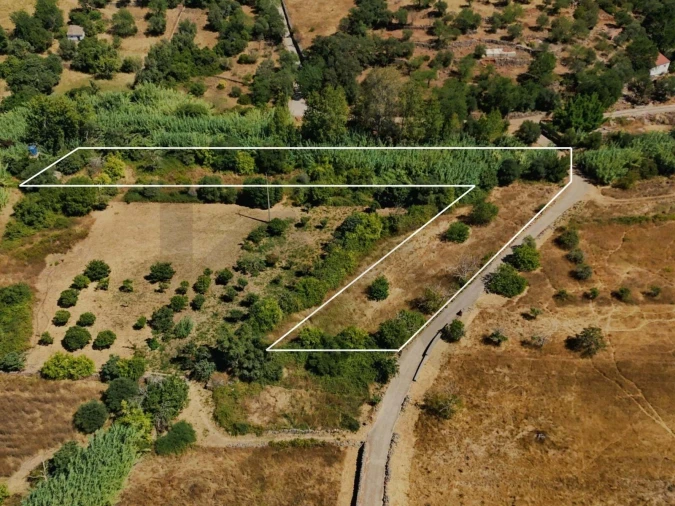 Terreno para Venda em Salir Foto 4