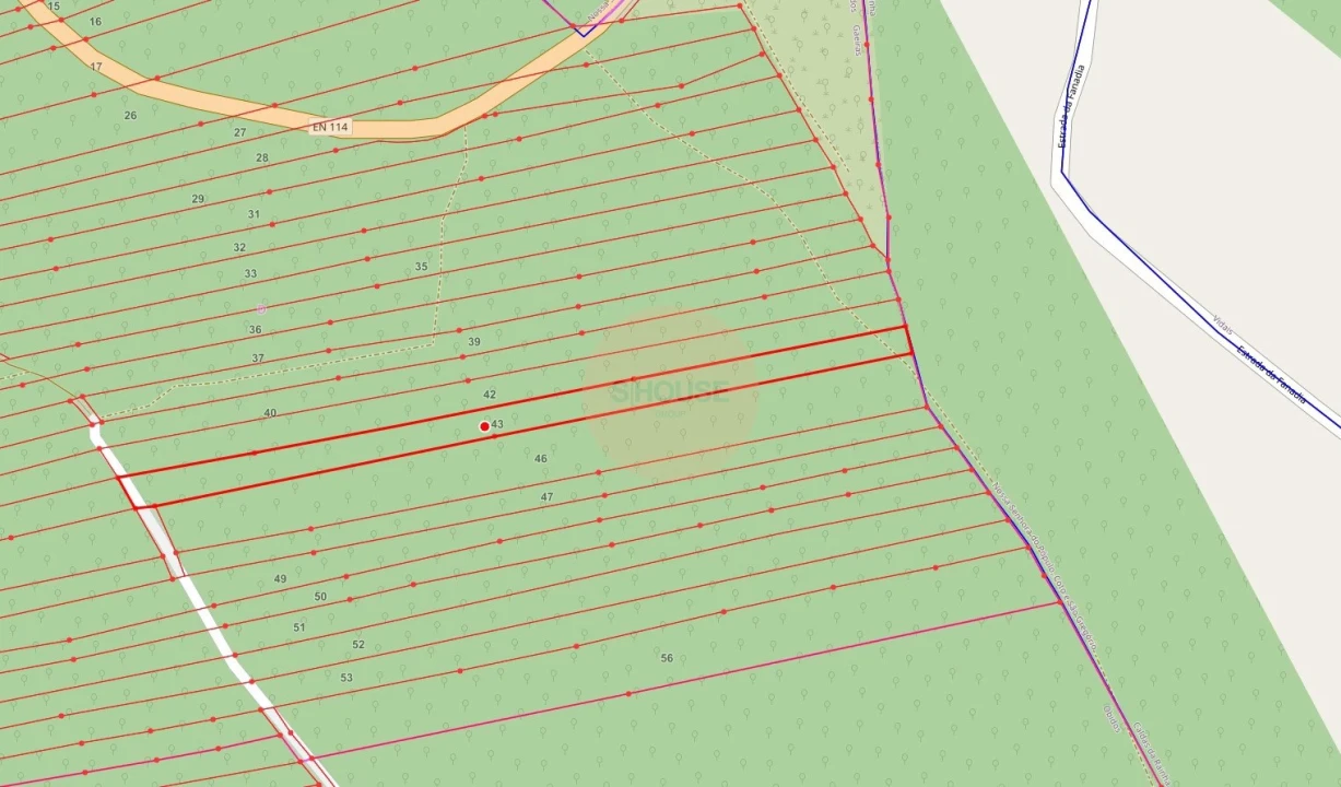 Terreno para Venda em Santa Maria, São Pedro e Sobral da Lagoa Foto 5
