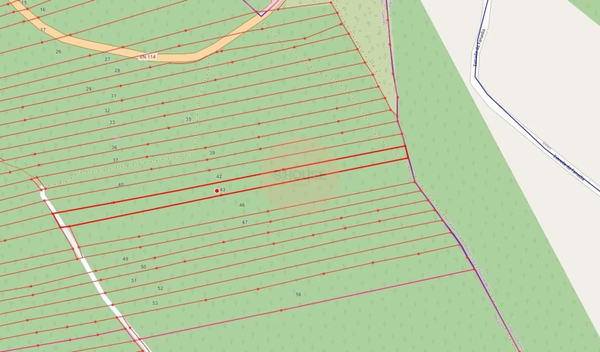 Terreno para Venda em Santa Maria, São Pedro e Sobral da Lagoa Foto 5