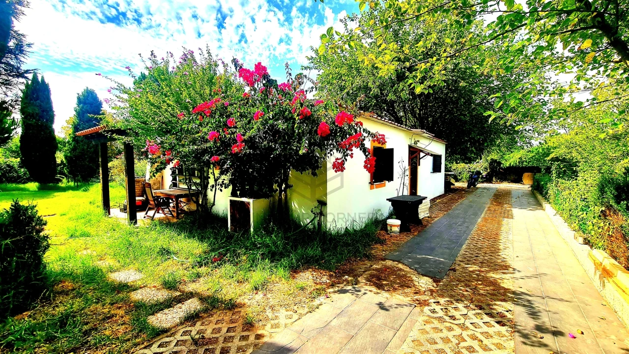 Moradia T10 para Venda em Azeitão (São Lourenço e São Simão) Foto 30