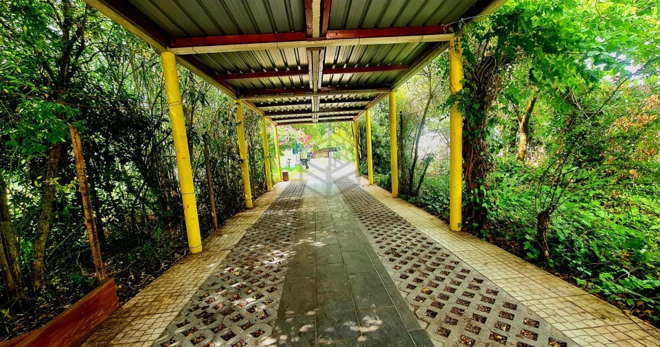 Moradia T10 para Venda em Azeitão (São Lourenço e São Simão) Foto 14