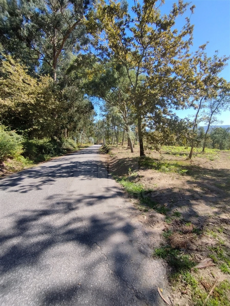 Terreno para Venda em Turiz Foto 9
