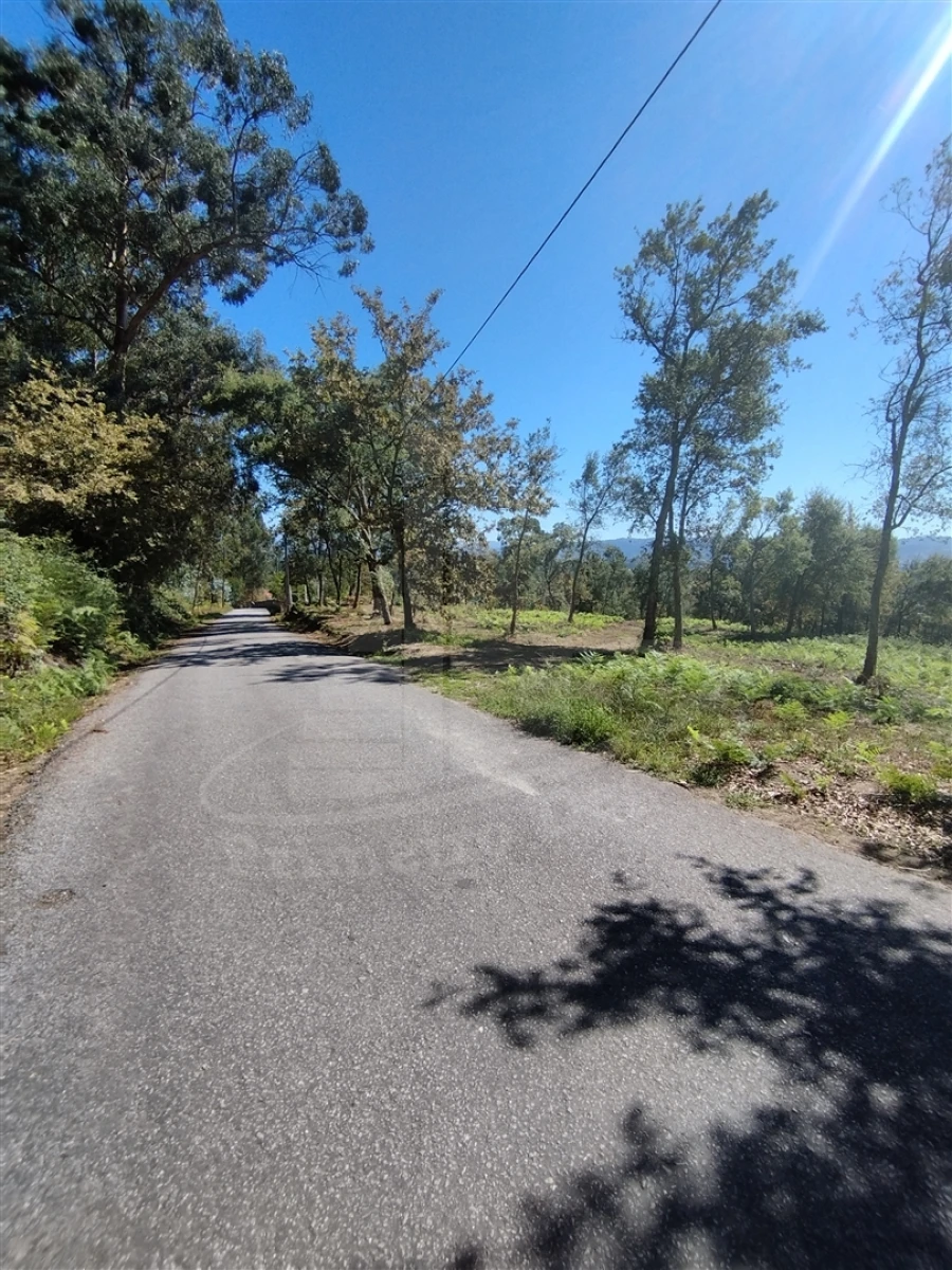 Terreno para Venda em Turiz Foto 5