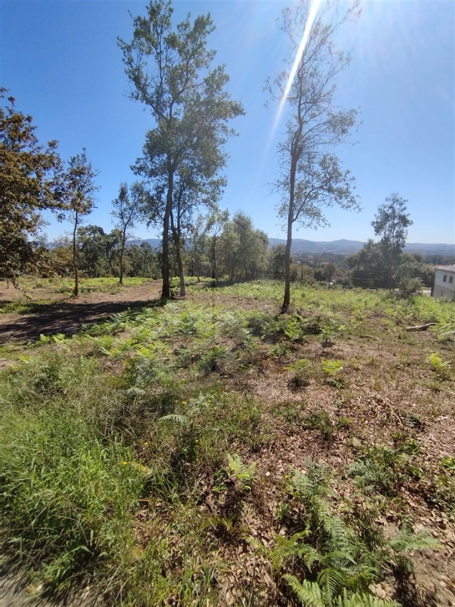 Terreno para Venda em Turiz Foto 15