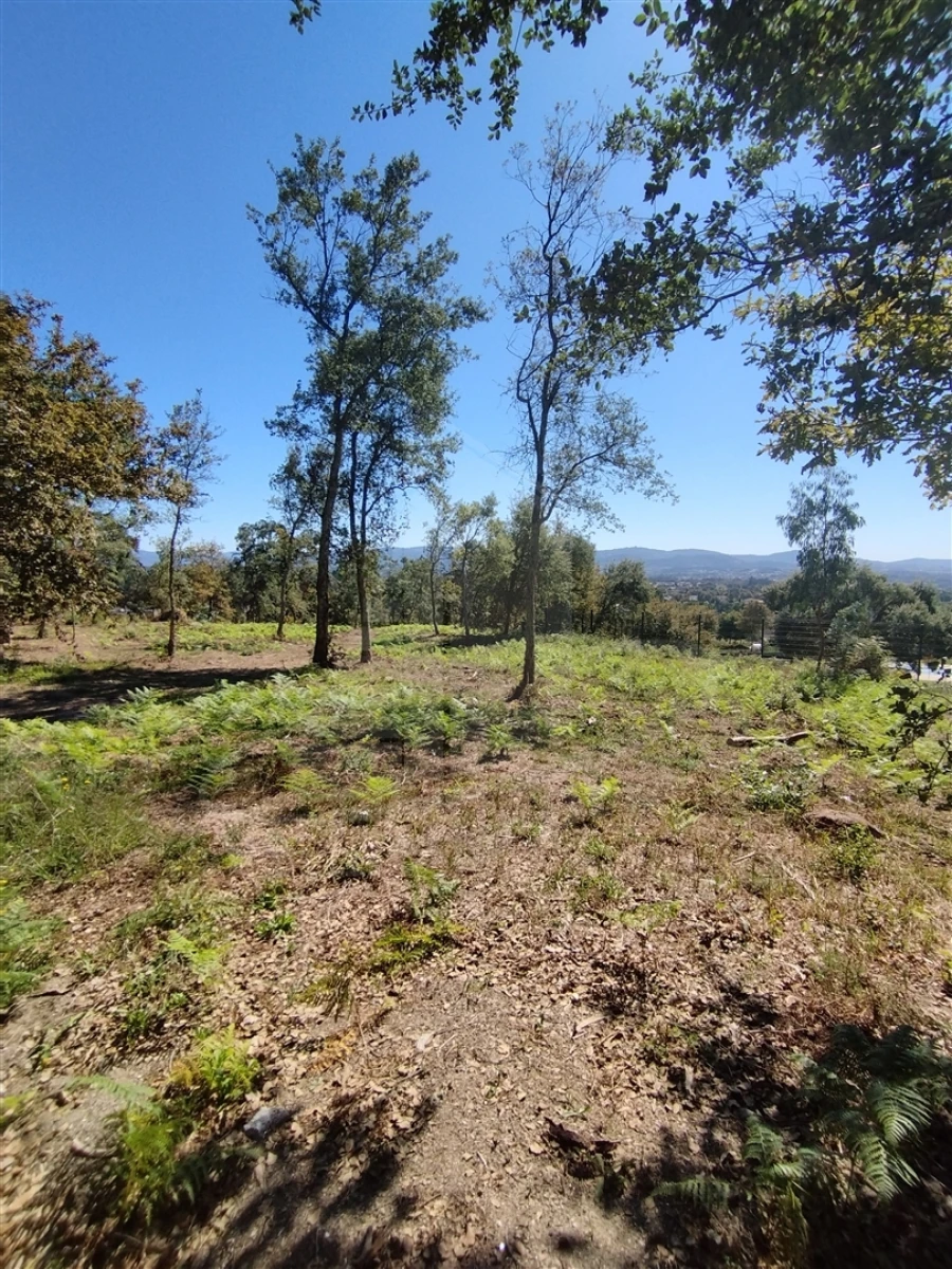 Terreno para Venda em Turiz Foto 4