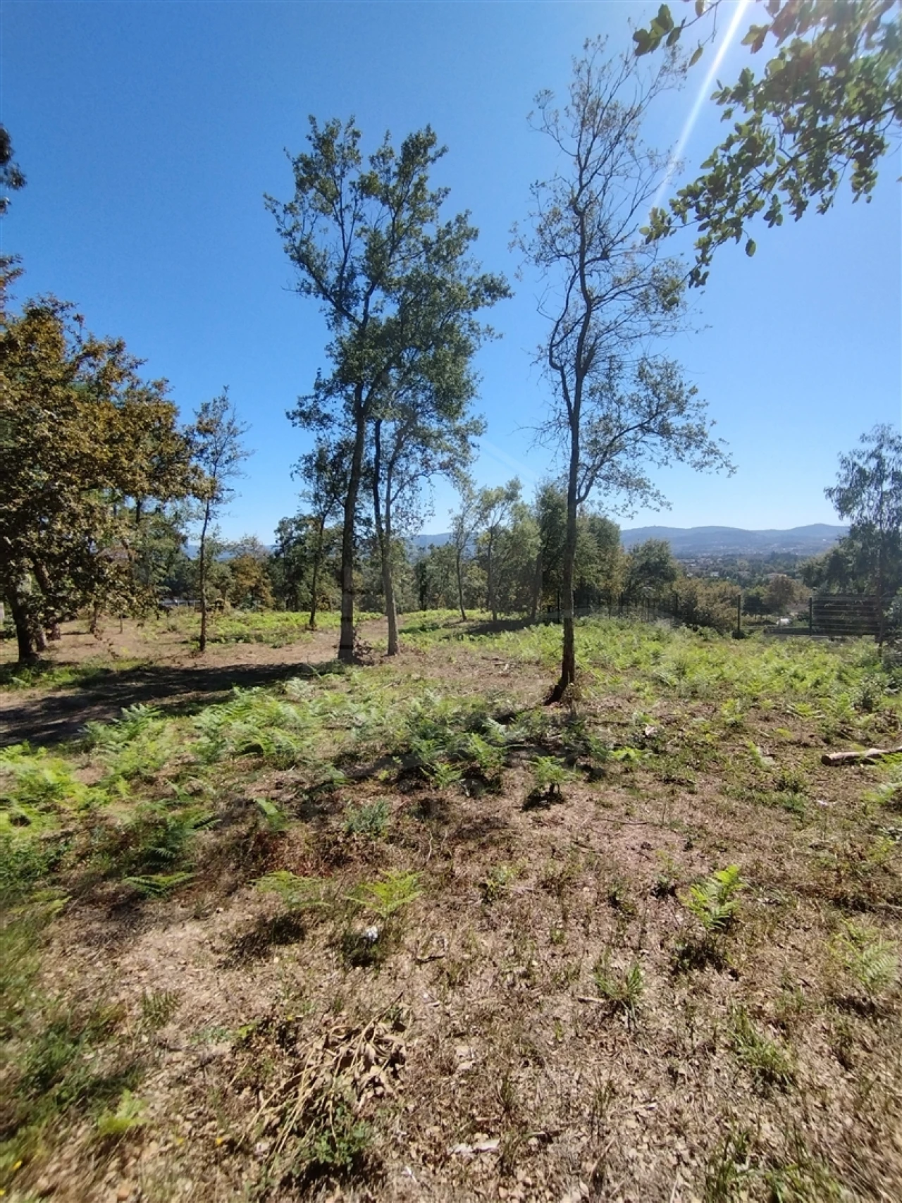 Terreno para Venda em Turiz Foto 3