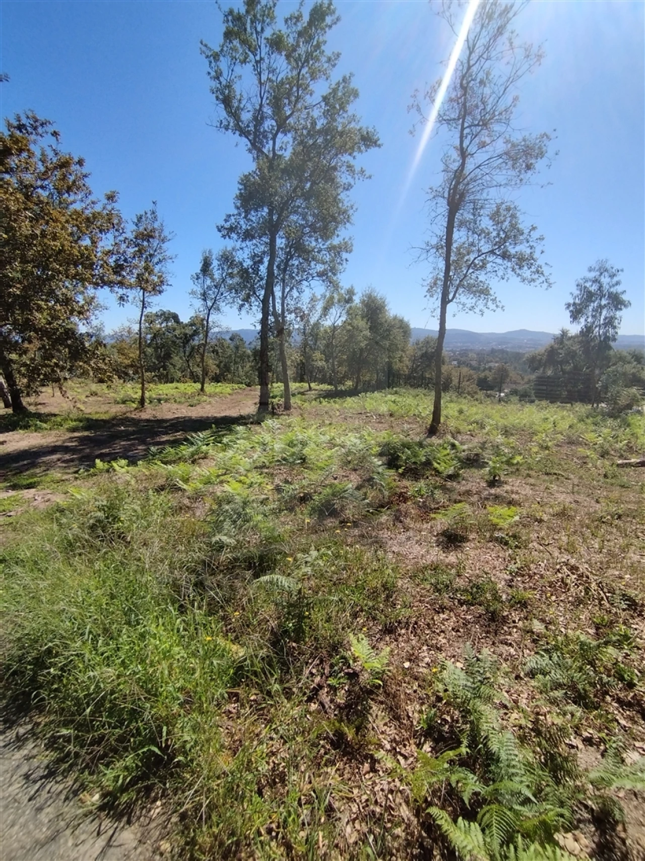 Terreno para Venda em Turiz Foto 14