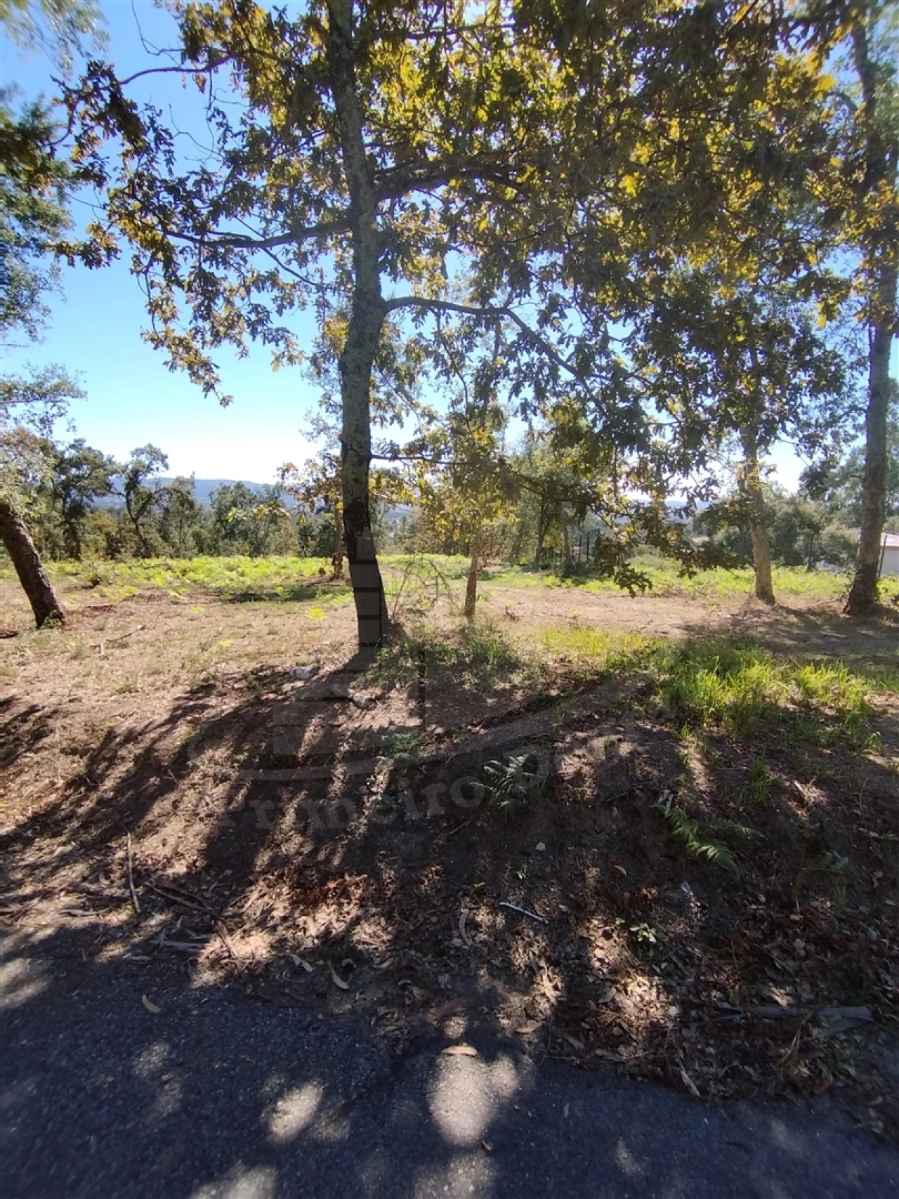 Terreno para Venda em Turiz Foto 12