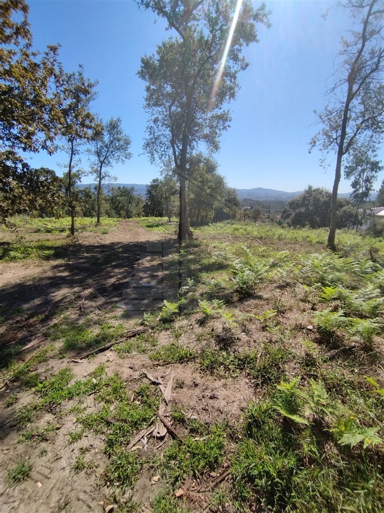 Terreno para Venda em Turiz Foto 16