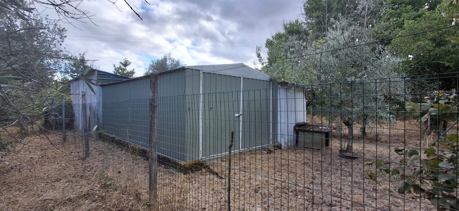 Quinta T0 para Venda em Santiago de Cassurrães e Póvoa de Cervães Foto 12