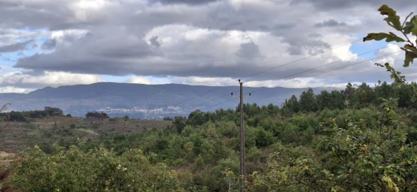 Quinta T0 para Venda em Santiago de Cassurrães e Póvoa de Cervães