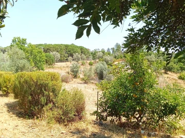 Quinta T0 para Venda em Santiago de Cassurrães e Póvoa de Cervães