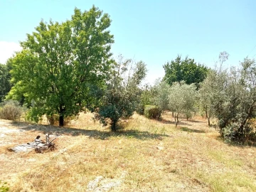 Quinta T0 para Venda em Santiago de Cassurrães e Póvoa de Cervães