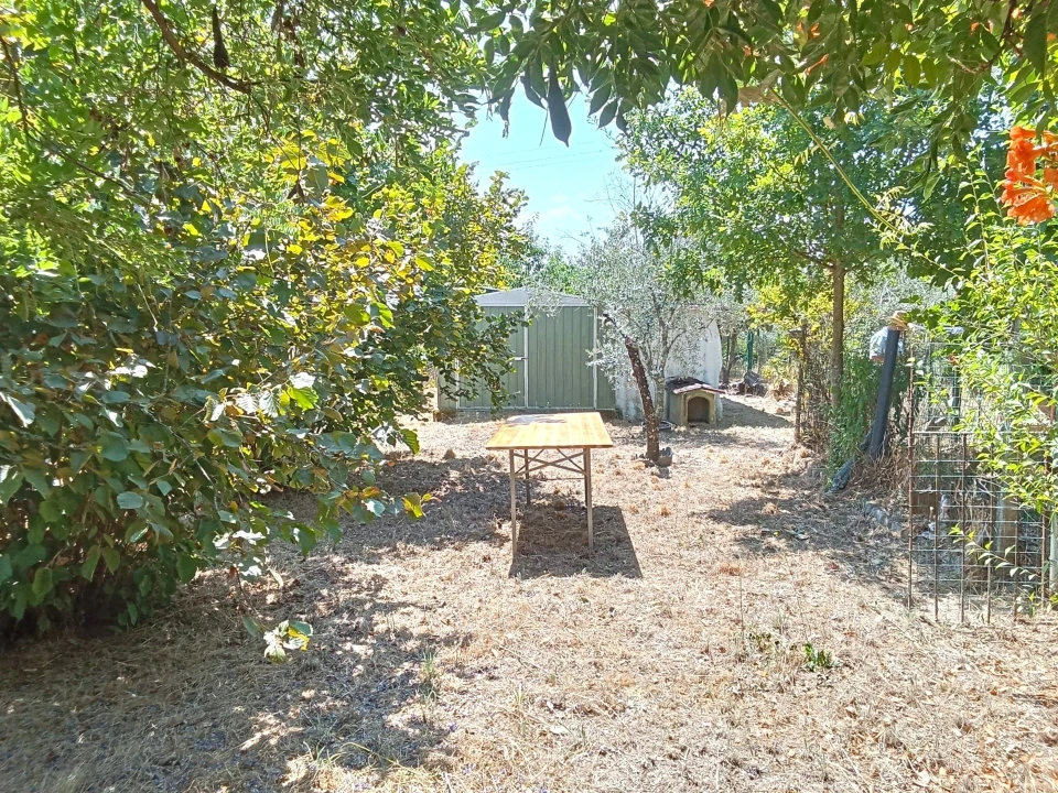 Quinta T0 para Venda em Santiago de Cassurrães e Póvoa de Cervães Foto 35