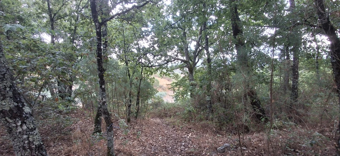 Quinta T0 para Venda em Santiago de Cassurrães e Póvoa de Cervães Foto 13