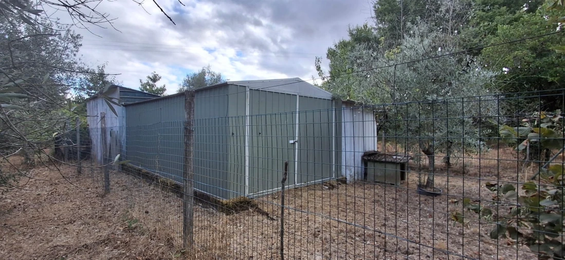 Quinta T0 para Venda em Santiago de Cassurrães e Póvoa de Cervães Foto 12