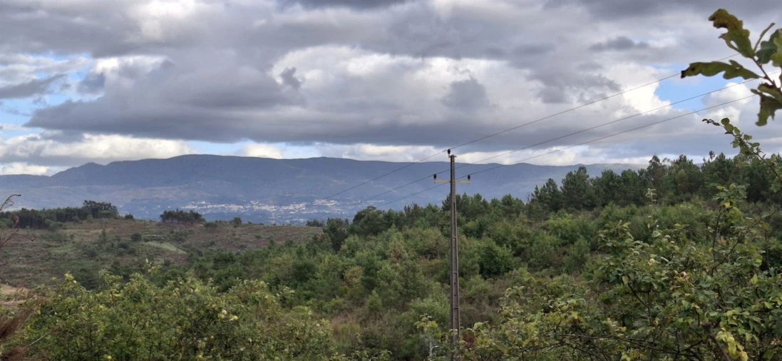 Quinta T0 para Venda em Santiago de Cassurrães e Póvoa de Cervães Foto 60