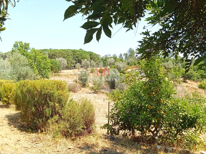 Quinta T0 para Venda em Santiago de Cassurrães e Póvoa de Cervães Foto 4