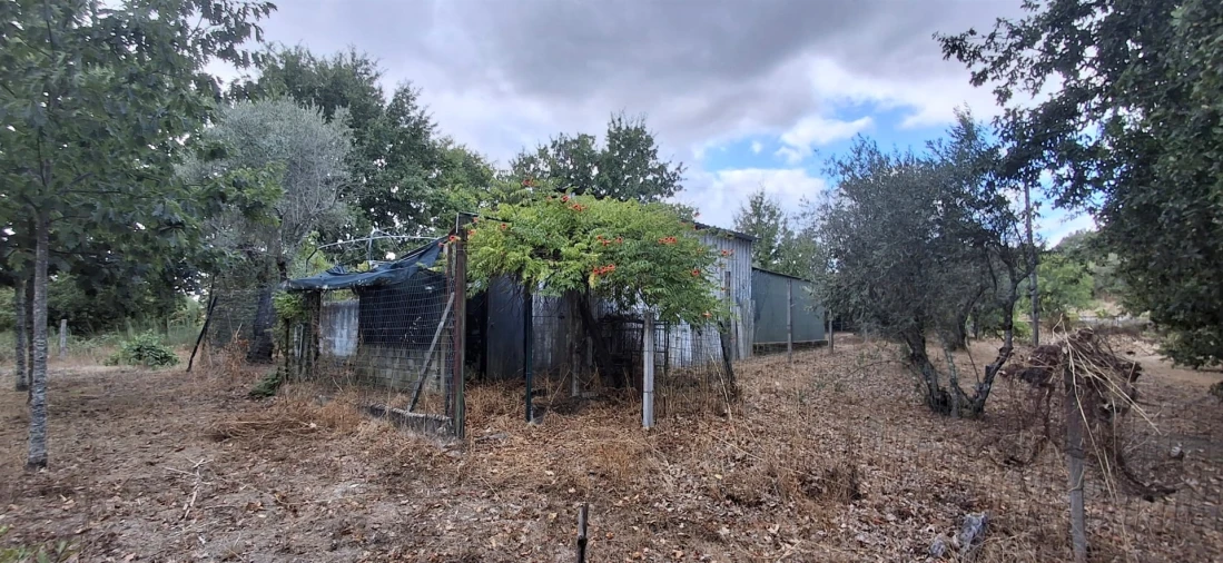Quinta T0 para Venda em Santiago de Cassurrães e Póvoa de Cervães Foto 10