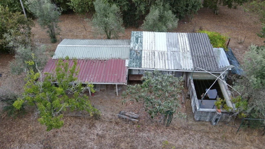 Quinta T0 para Venda em Santiago de Cassurrães e Póvoa de Cervães Foto 8