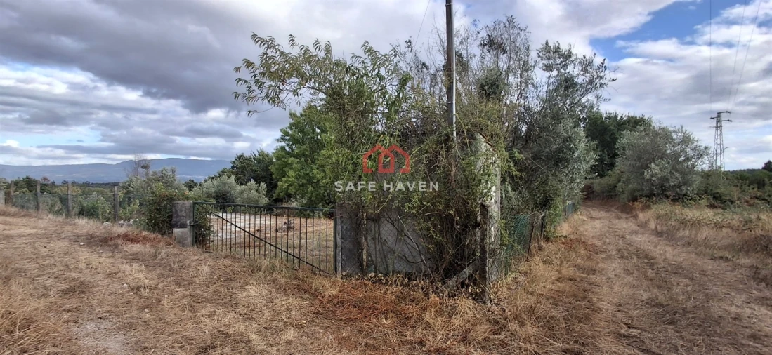 Quinta T0 para Venda em Santiago de Cassurrães e Póvoa de Cervães Foto 14