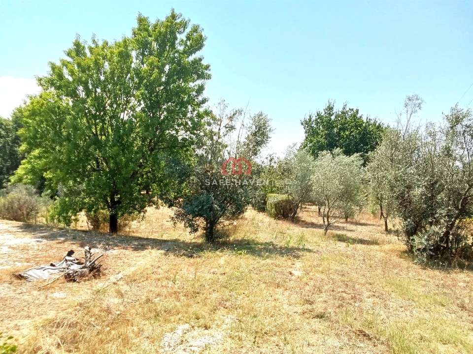 Quinta T0 para Venda em Santiago de Cassurrães e Póvoa de Cervães Foto 3