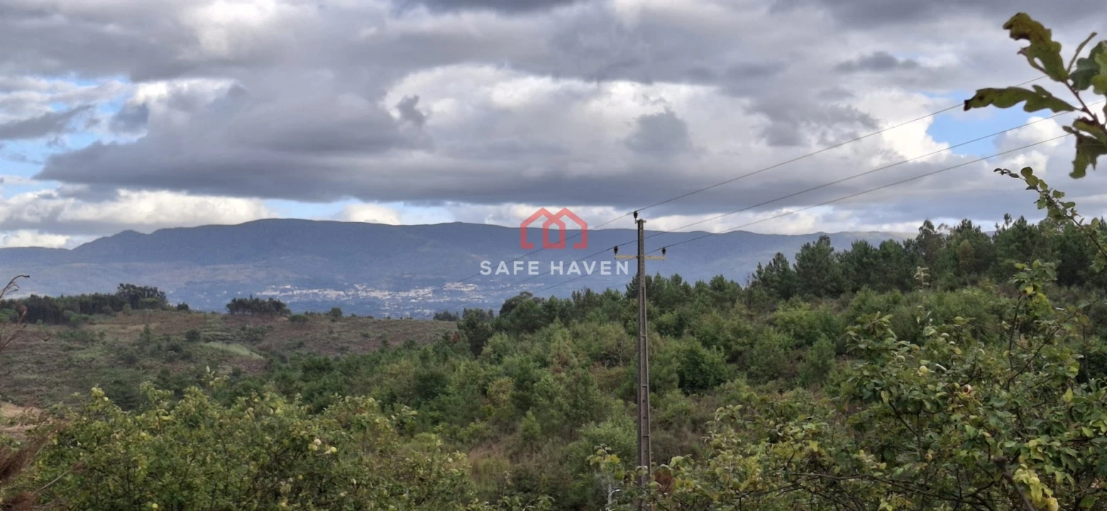 Quinta T0 para Venda em Santiago de Cassurrães e Póvoa de Cervães Foto 15