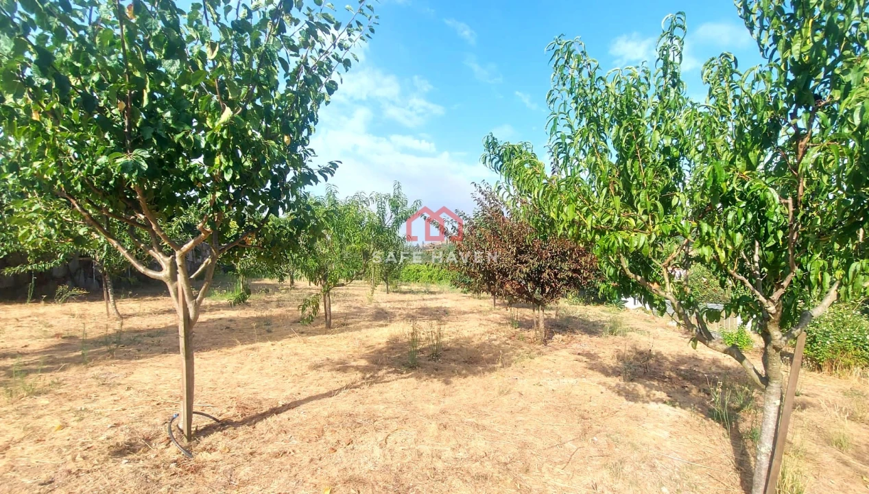 Moradia T4 para Venda em Mangualde, Mesquitela e Cunha Alta Foto 33