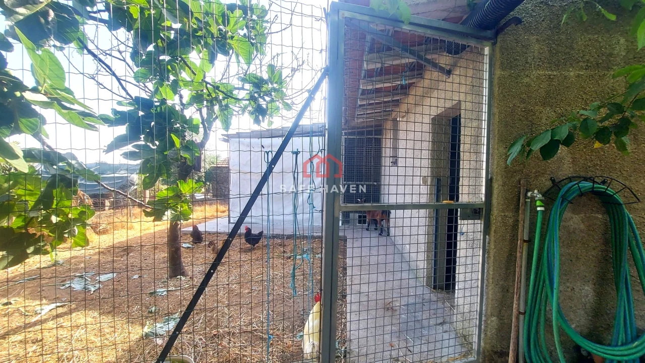 Moradia T4 para Venda em Mangualde, Mesquitela e Cunha Alta Foto 29