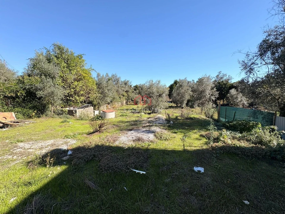 Moradia T3 para Venda em Mangualde, Mesquitela e Cunha Alta Foto 23