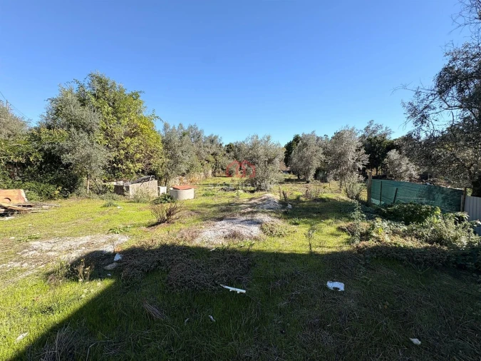 Moradia T3 para Venda em Mangualde, Mesquitela e Cunha Alta Foto 23