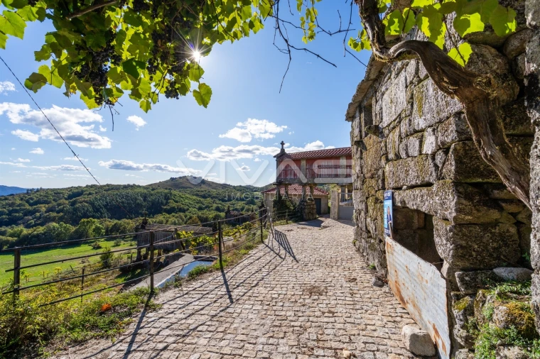 Moradia T0 para Venda em Cibões e Brufe Foto 2