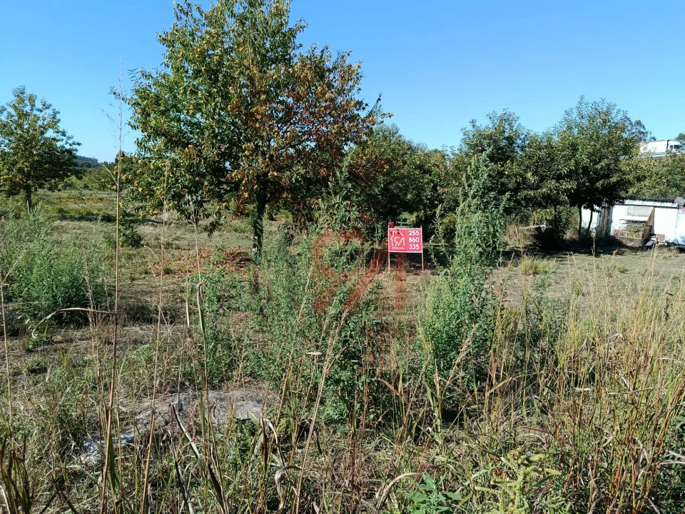 Terreno para Venda em Paços de Ferreira Foto 3