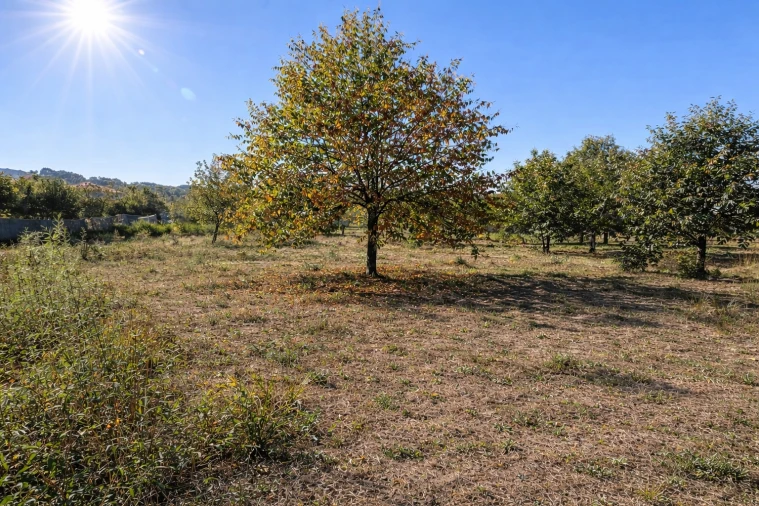 Terreno para Venda em Paços de Ferreira Foto 4