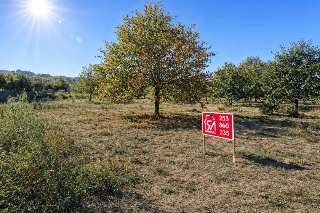 Terreno para Venda em Paços de Ferreira Foto 2