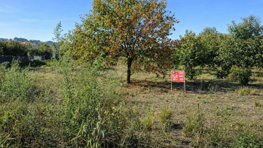 Terreno para Venda em Paços de Ferreira
