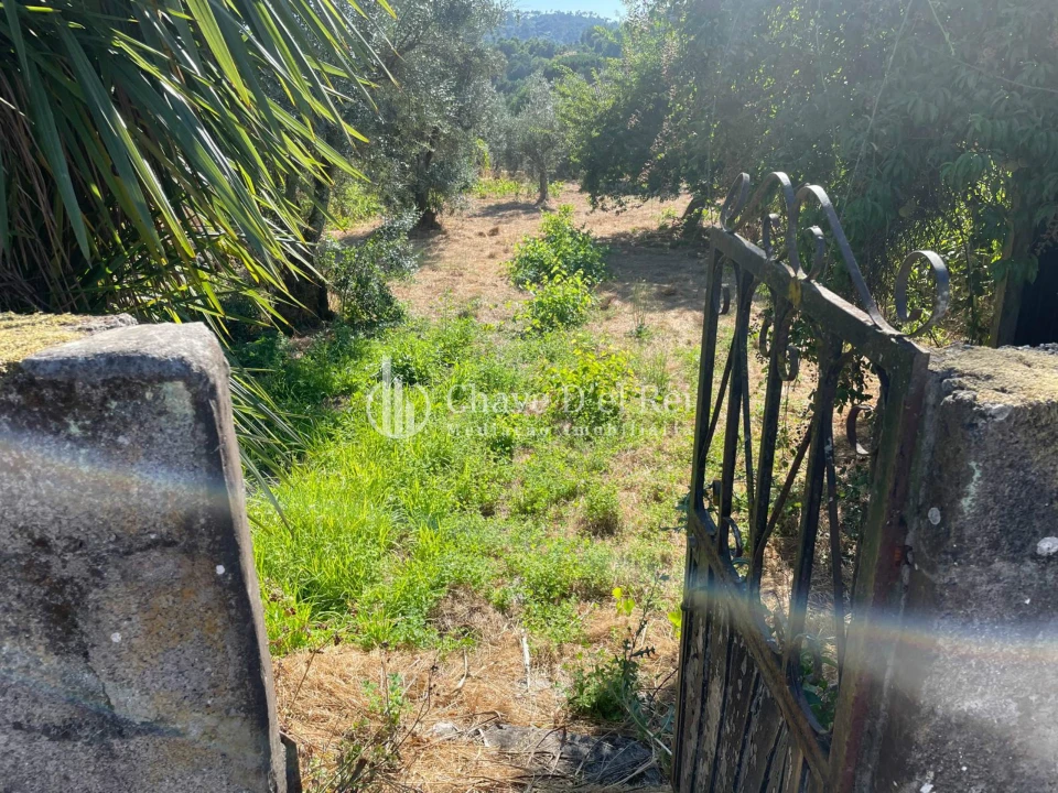 Terreno Agricola ou Rústico para Venda em Santar e Moreira Foto 5