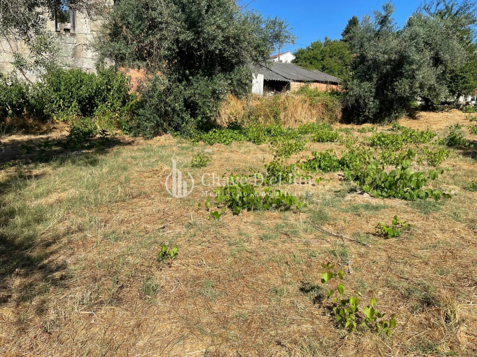 Terreno Agricola ou Rústico para Venda em Santar e Moreira Foto 10