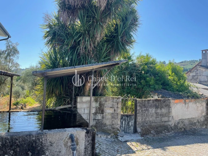 Terreno Agricola ou Rústico para Venda em Santar e Moreira Foto 13