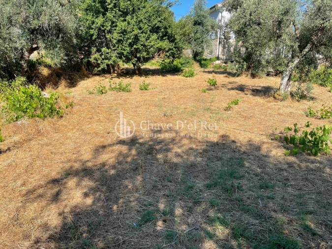 Terreno Agricola ou Rústico para Venda em Santar e Moreira Foto 7