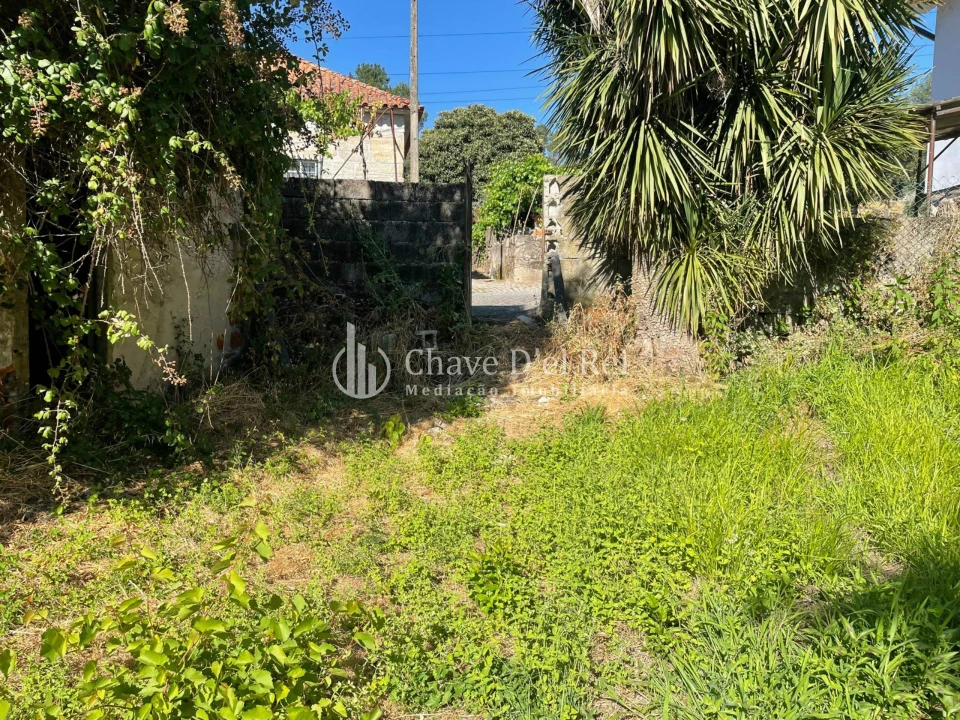 Terreno Agricola ou Rústico para Venda em Santar e Moreira Foto 1