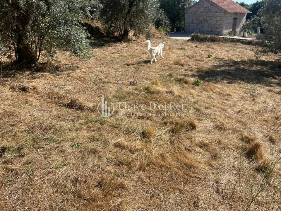 Terreno para Venda em Santar e Moreira Foto 15
