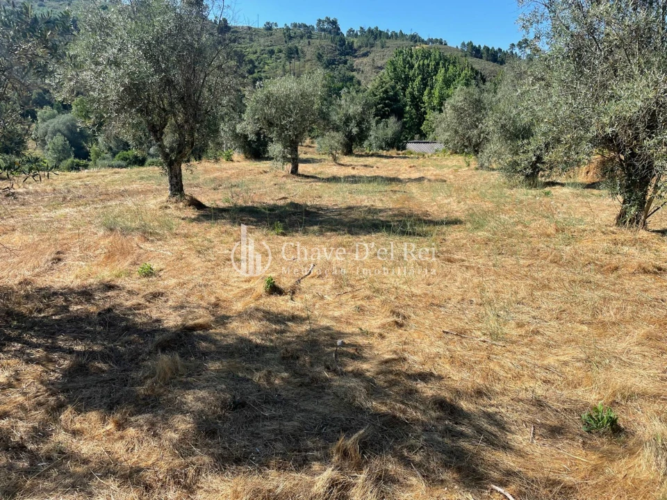 Terreno para Venda em Santar e Moreira Foto 2