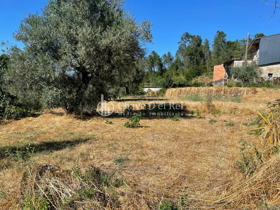 Terreno para Venda em Santar e Moreira Foto 12