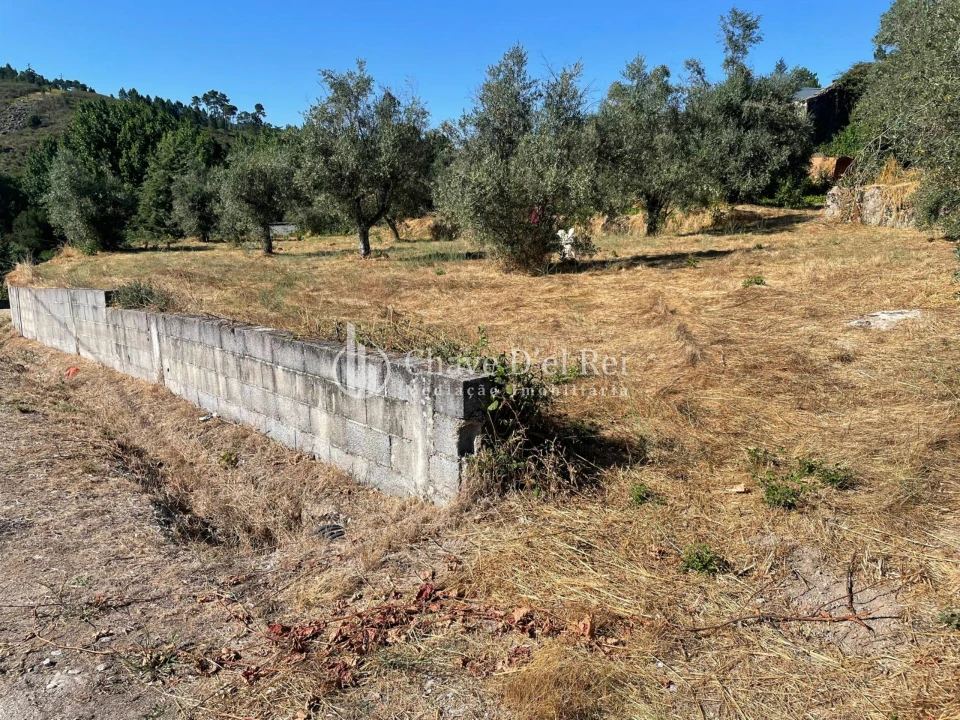 Terreno para Venda em Santar e Moreira Foto 7